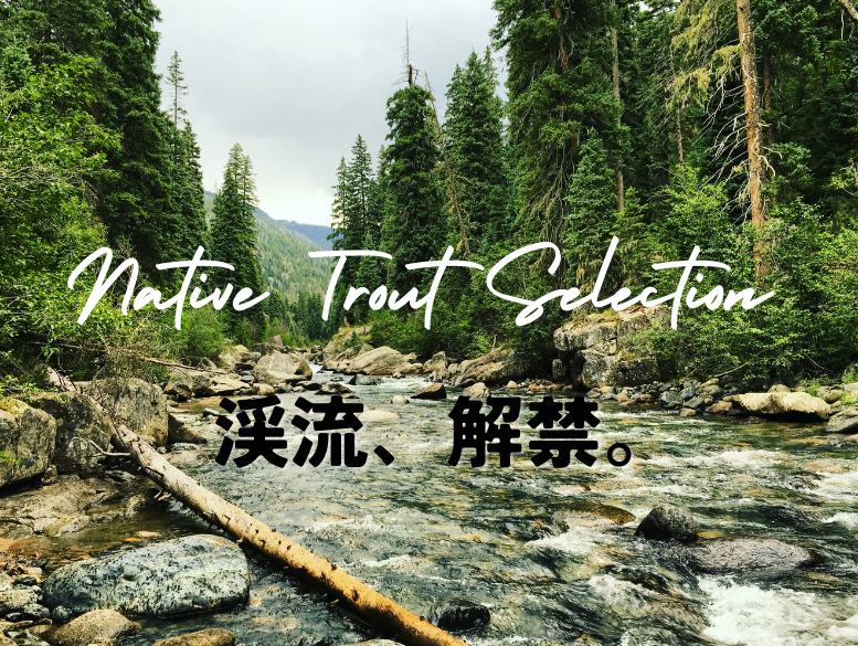 ネイティブトラウトアイテムはこちら!