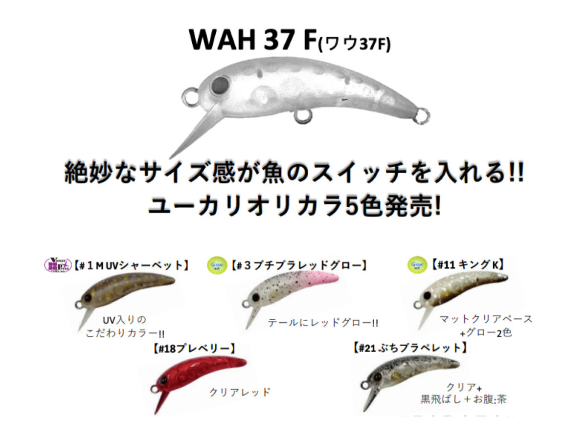 Wah Office Eucalyptus Color