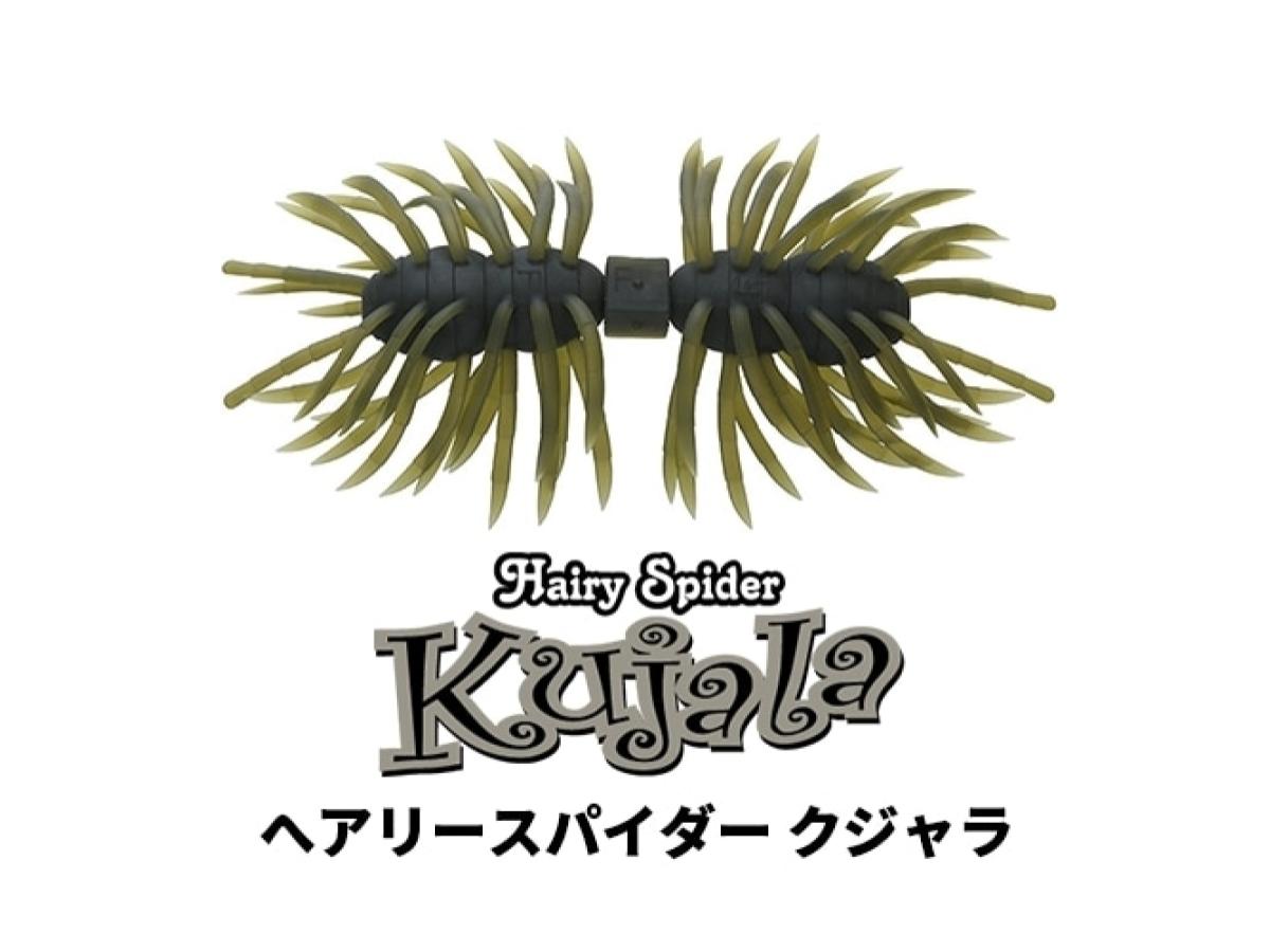 ヘアリースパイダー クジャラ