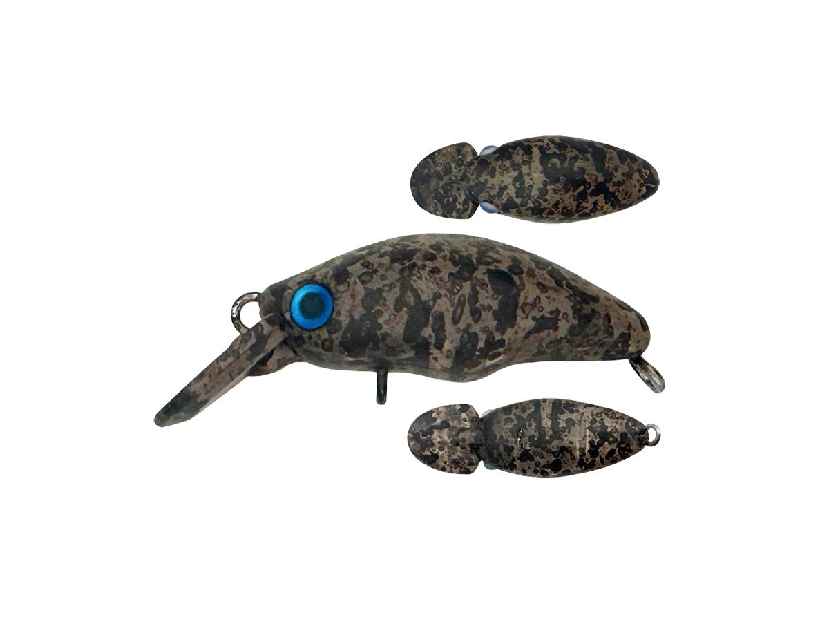 スミス ダンゴウオ 【ポスト投函可】