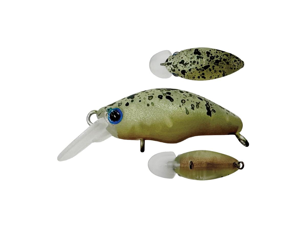 スミス ダンゴウオ 【ポスト投函可】