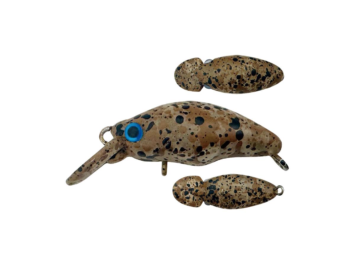 スミス ダンゴウオ 【ポスト投函可】