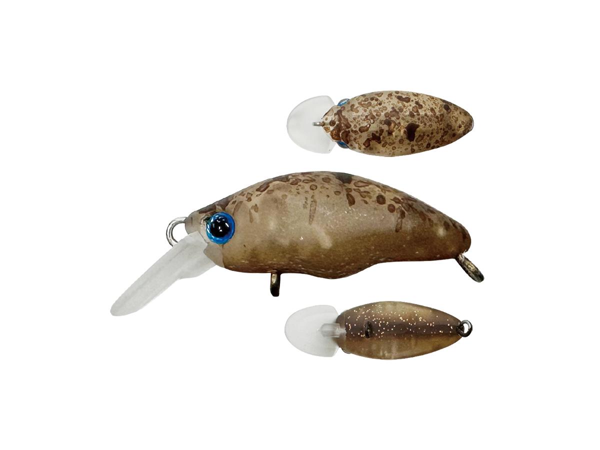 スミス ダンゴウオ 【ポスト投函可】