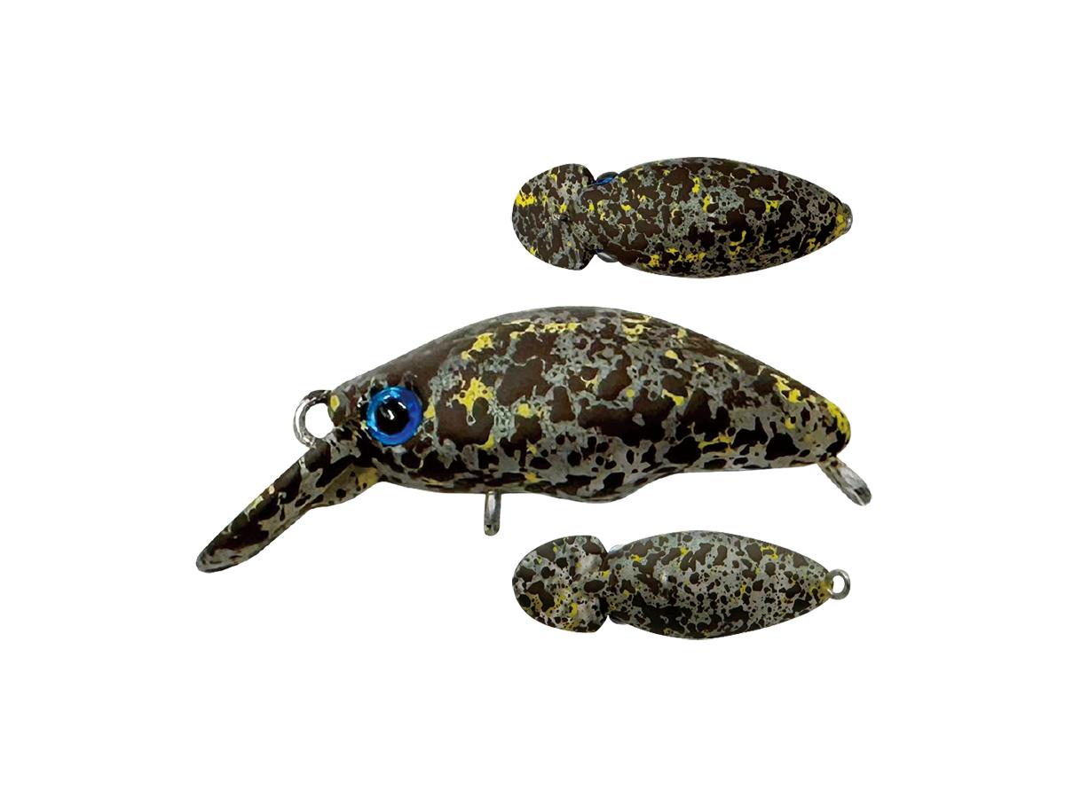 スミス ダンゴウオ 【ポスト投函可】