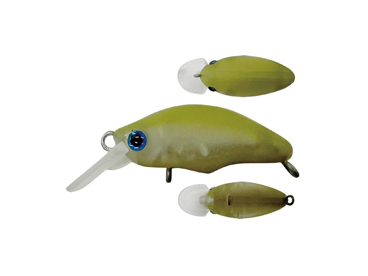 スミス ダンゴウオ 【ポスト投函可】