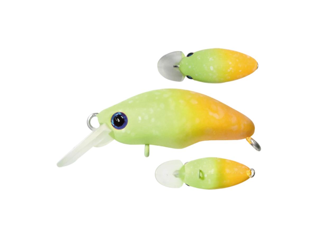 スミス ダンゴウオ 【ポスト投函可】