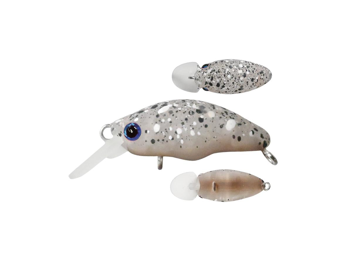 スミス ダンゴウオ 【ポスト投函可】