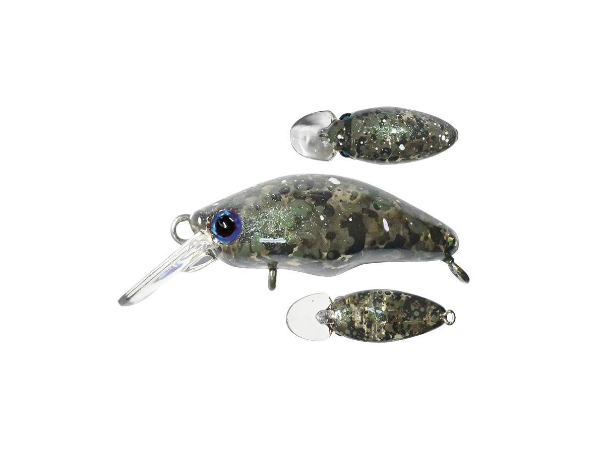 スミス ダンゴウオ 【ポスト投函可】