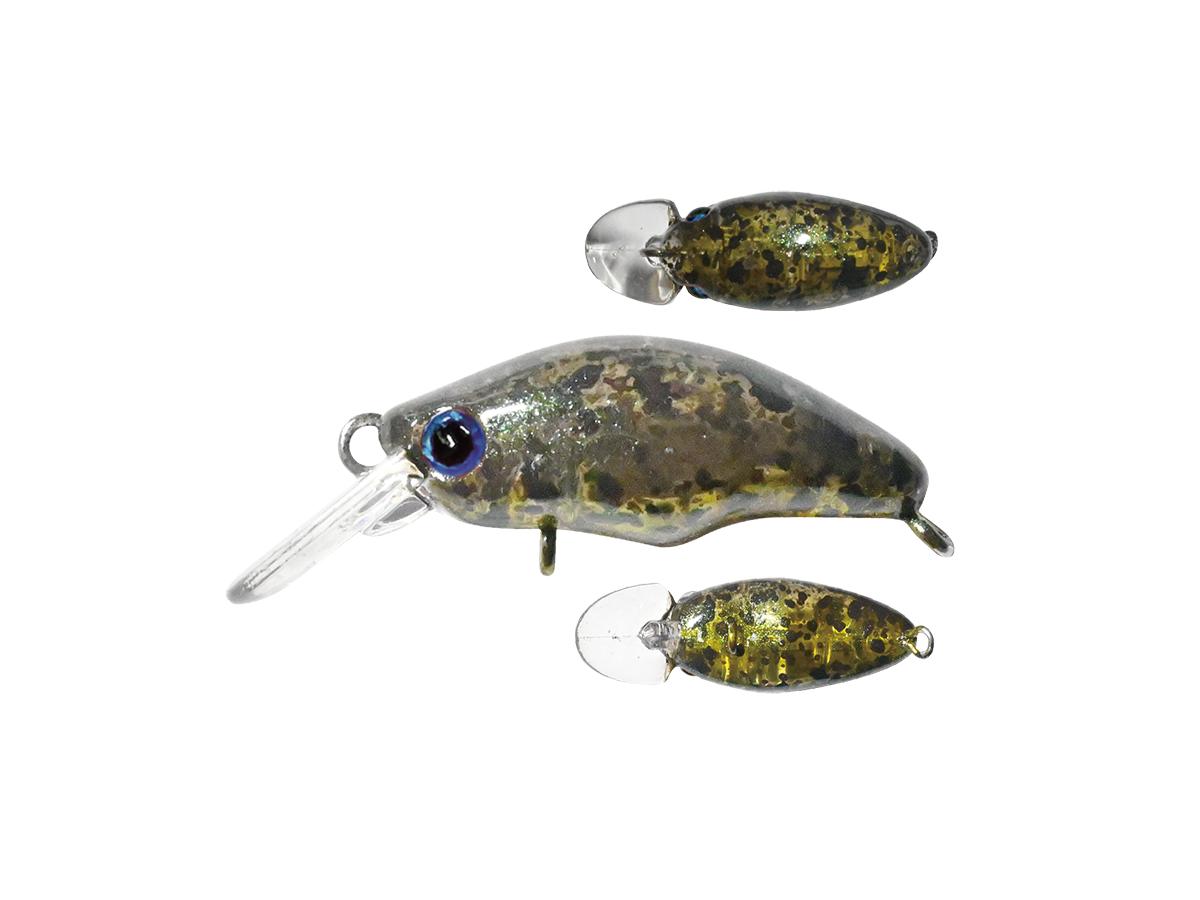 スミス ダンゴウオ 【ポスト投函可】