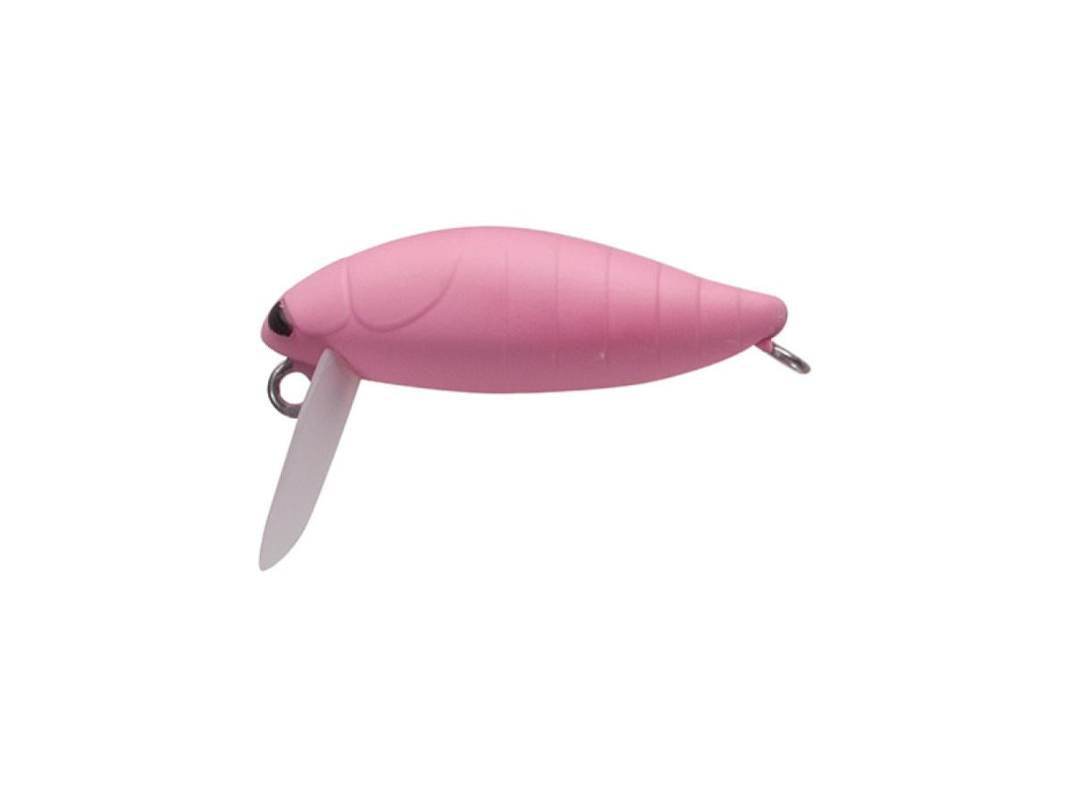 タックルハウス シケイダー 【ポスト投函可】