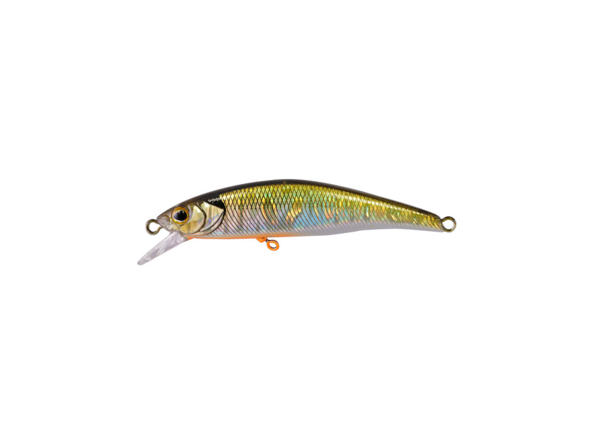 ティモン トリコロール流芯 53HW #テネシー