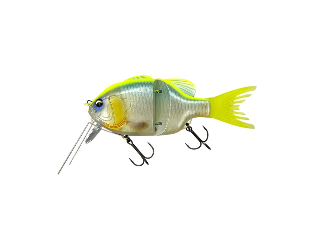 イマカツ ギルロイド ジュニア ダイブ