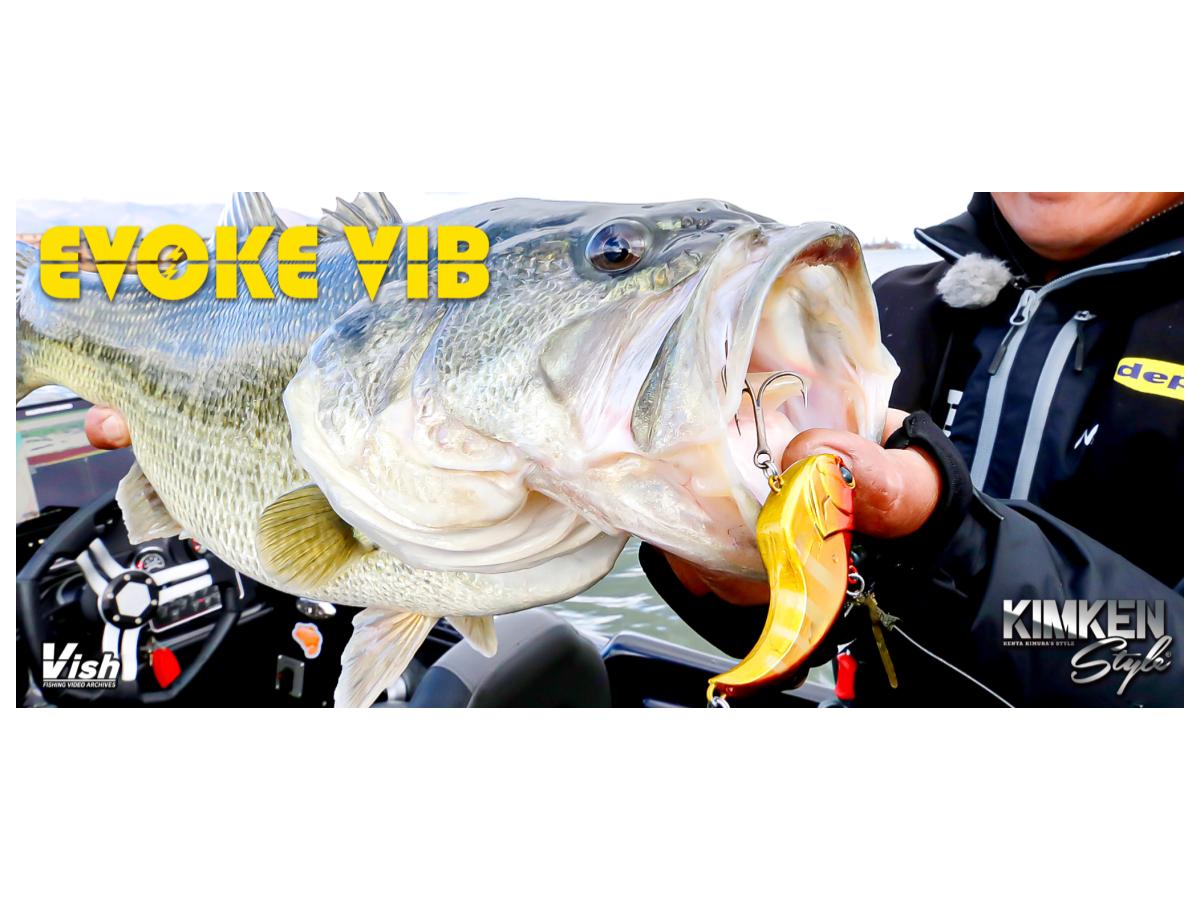 デプス イヴォーク バイブ